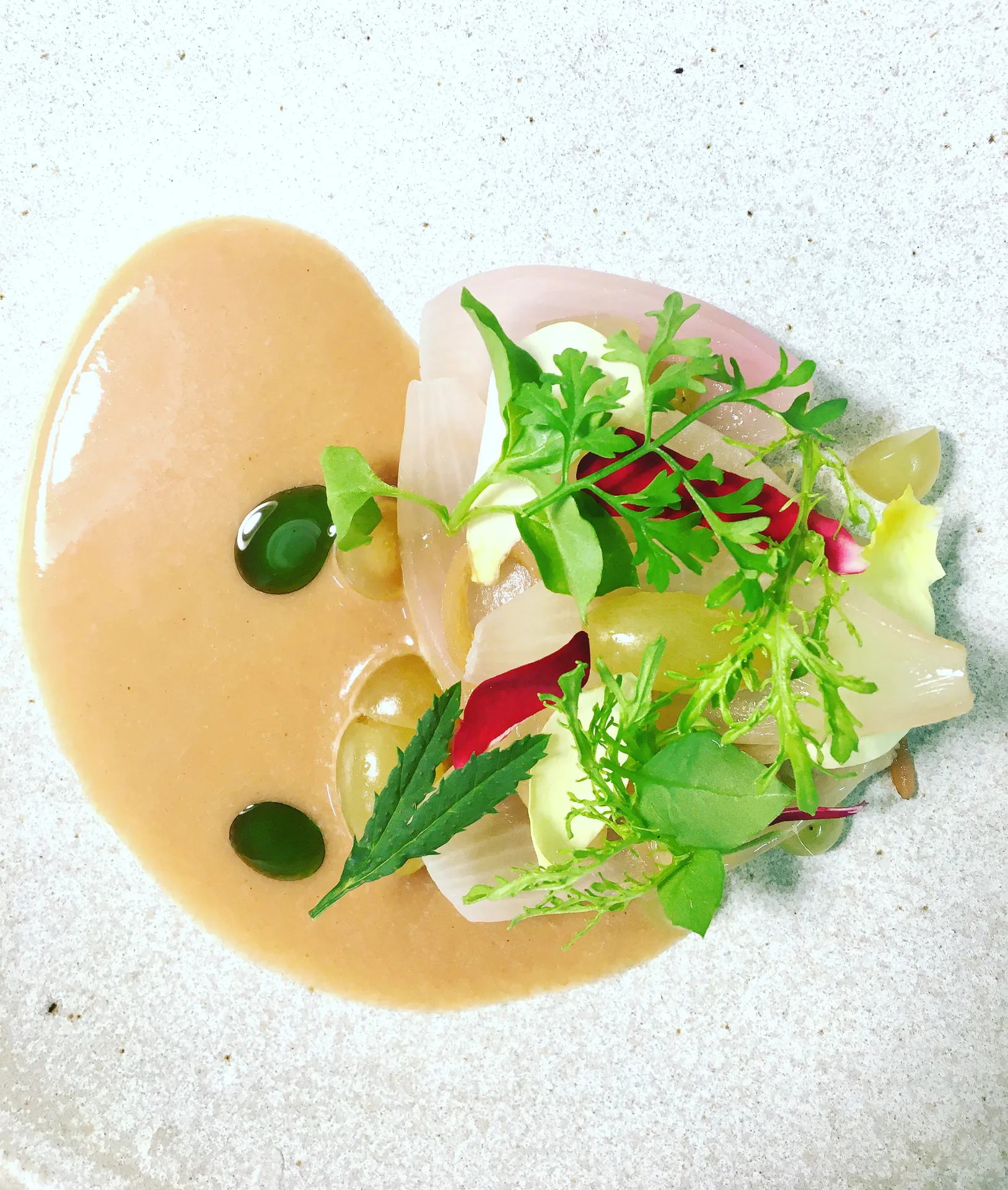 Ceviche de dorade